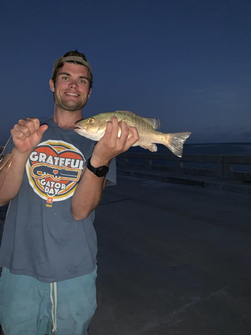 Best Times of Year to Catch Mangrove Snapper in South Florida and the Florida Keys